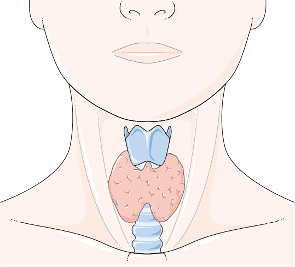 Thyroide